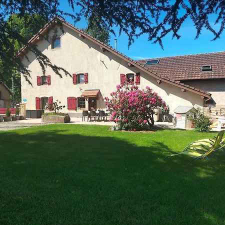 Gîte Belle Fleur 6 personnes- Vosges Saint-Nabord Extérieur photo