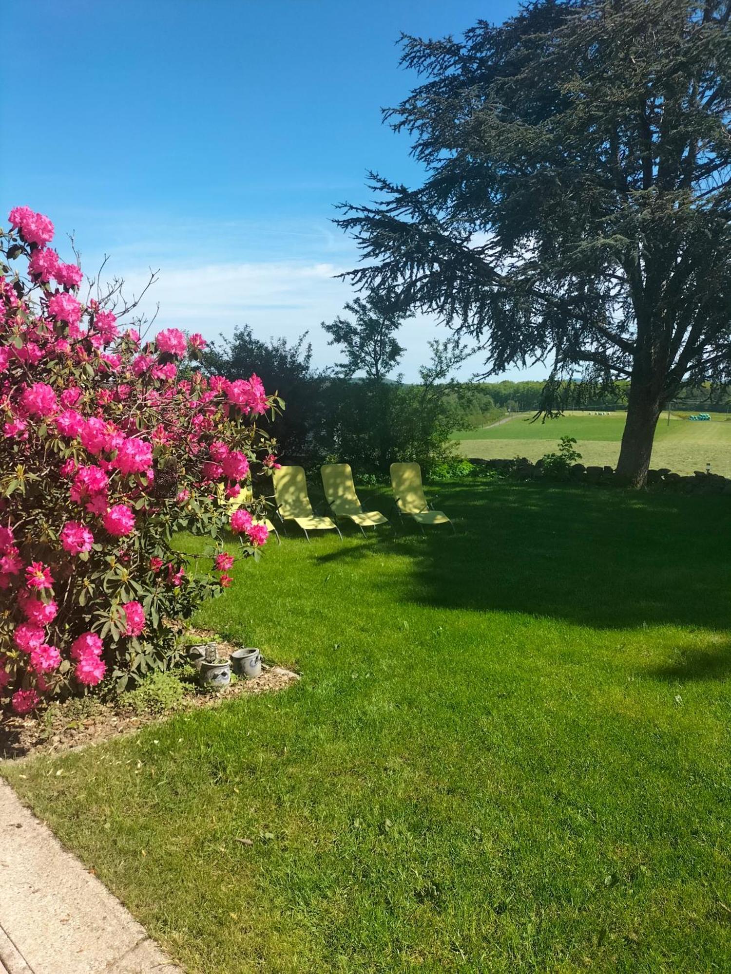 Gîte Belle Fleur 6 personnes- Vosges Saint-Nabord Extérieur photo